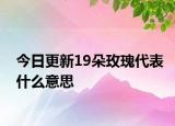 今日更新19朵玫瑰代表什么意思