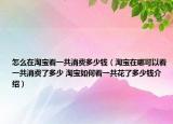 怎么在淘宝看一共消费多少钱（淘宝在哪可以看一共消费了多少 淘宝如何看一共花了多少钱介绍）