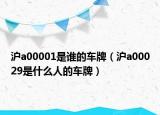 沪a00001是谁的车牌（沪a00029是什么人的车牌）