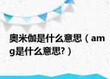 奥米伽是什么意思（amg是什么意思?）