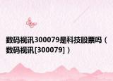 数码视讯300079是科技股票吗（数码视讯[300079]）