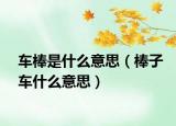 车棒是什么意思（棒子车什么意思）
