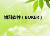 博科软件（BOKER）