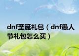 dnf圣诞礼包（dnf愚人节礼包怎么买）