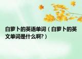 白萝卜的英语单词（白萝卜的英文单词是什么啊?）
