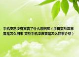 手机突然没有声音了什么原因呢（手机突然没声音是怎么回事 突然手机没声音是怎么回事介绍）