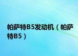 帕萨特B5发动机（帕萨特B5）