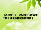 《遇见美好》（遇见美好 2011年印刷工业出版社出版的图书）