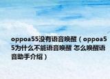 oppoa55没有语音唤醒（oppoa55为什么不能语音唤醒 怎么唤醒语音助手介绍）