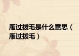 雁过拨毛是什么意思（雁过拨毛）