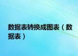 数据表转换成图表（数据表）