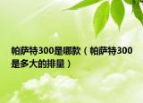 帕萨特300是哪款（帕萨特300是多大的排量）