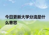 今日更新大学分流是什么意思