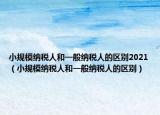 小规模纳税人和一般纳税人的区别2021（小规模纳税人和一般纳税人的区别）