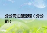 分公司注册流程（分公司）