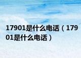 17901是什么电话（17901是什么电话）