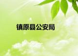 镇原县公安局