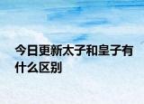 今日更新太子和皇子有什么区别