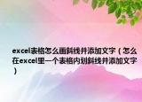 excel表格怎么画斜线并添加文字（怎么在excel里一个表格内划斜线并添加文字）