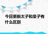 今日更新太子和皇子有什么区别