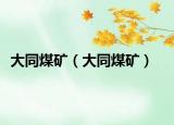 大同煤矿（大同煤矿）