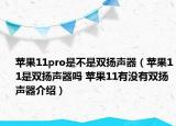 苹果11pro是不是双扬声器（苹果11是双扬声器吗 苹果11有没有双扬声器介绍）