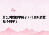 什么叫质数举例子（什么叫质数 举个例子）