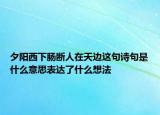 夕阳西下肠断人在天边这句诗句是什么意思表达了什么想法