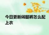 今日更新阔腿裤怎么配上衣