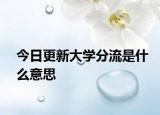 今日更新大学分流是什么意思