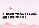 3+1隔离是什么意思（3 11隔离是什么意思详细介绍）