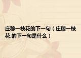 庄稼一枝花的下一句（庄稼一枝花,的下一句是什么）