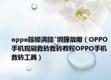 oppo鎵嬫満鍗″埛鏁戠爾（OPPO手机现刷救砖救砖教程OPPO手机救砖工具）