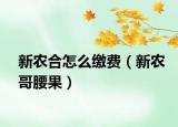 新农合怎么缴费（新农哥腰果）