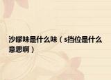 沙嗲味是什么味（s挡位是什么意思啊）