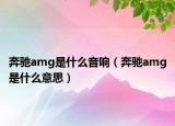 奔驰amg是什么音响（奔驰amg是什么意思）