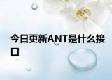 今日更新ANT是什么接口