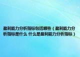 盈利能力分析指标包括哪些（盈利能力分析指标是什么 什么是盈利能力分析指标）