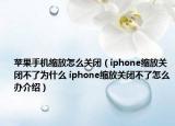 苹果手机缩放怎么关闭（iphone缩放关闭不了为什么 iphone缩放关闭不了怎么办介绍）