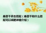 桑葚干养生搭配（桑葚干和什么搭配可以减肥详细介绍）