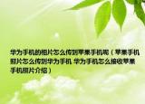 华为手机的相片怎么传到苹果手机呢（苹果手机照片怎么传到华为手机 华为手机怎么接收苹果手机照片介绍）