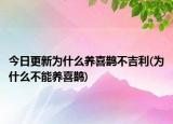 今日更新为什么养喜鹊不吉利(为什么不能养喜鹊)
