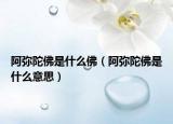 阿弥陀佛是什么佛（阿弥陀佛是什么意思）