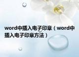 word中插入电子印章（word中插入电子印章方法）