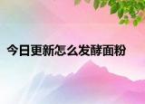今日更新怎么发酵面粉