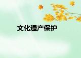 文化遗产保护