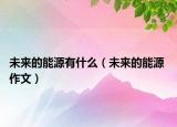 未来的能源有什么（未来的能源 作文）