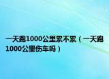 一天跑1000公里累不累（一天跑1000公里伤车吗）