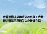 大数据错误显示黄码怎么办（大数据错误显示黄码怎么办详细介绍）