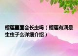 榴莲里面会长虫吗（榴莲有洞是生虫子么详细介绍）